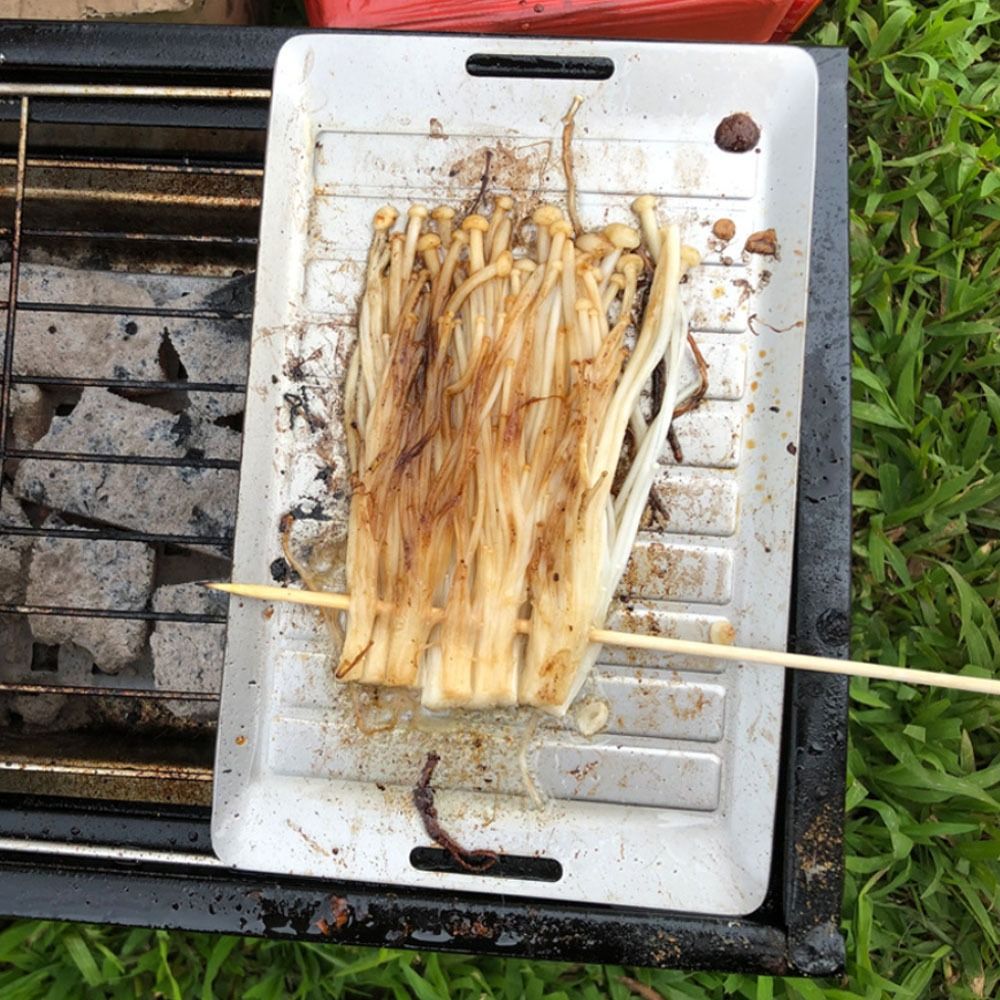 Durable Titanium Camping Grill - Kitchen Baking Sheets ulasan dan harga